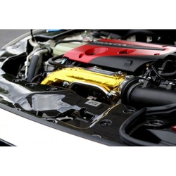 APR karbonová sada krytů chladičové stěny - Honda Civic X Type-R (17+)